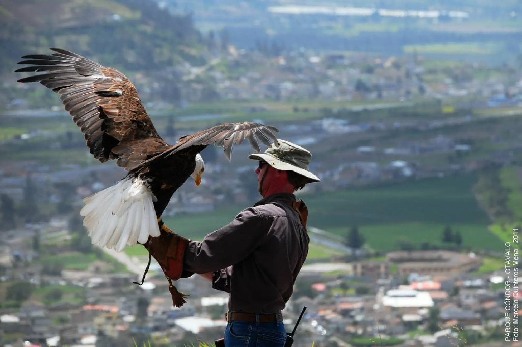 Parque Cóndor, centro de rehabilitación de aves rapaces cerca de Otavalo
